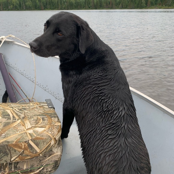 Meet your Posher, Danielle - Picture 5 of 8